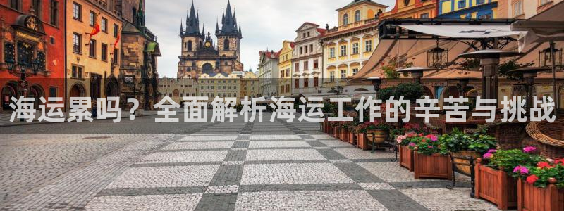 公海赌博为什么没人管