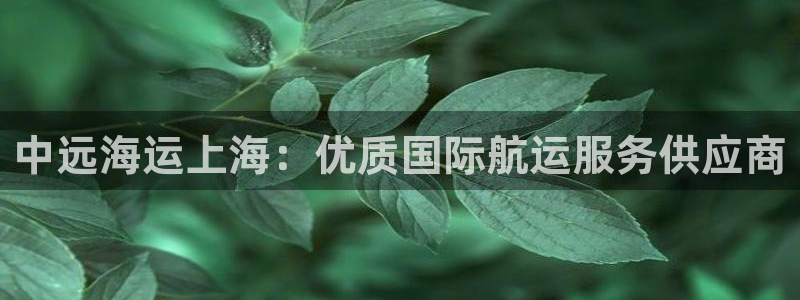 公海赌赌船手机下载