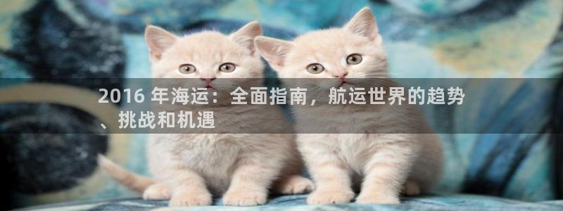 公海赌船网址710