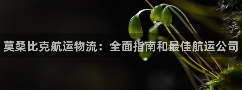 欢迎来到公海欢迎来到