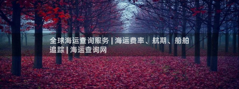 欢迎您来到公海客服