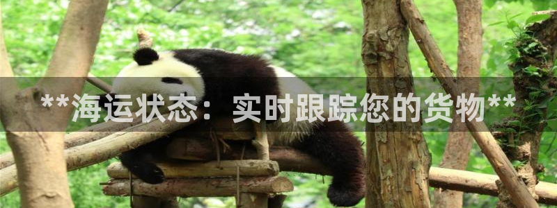公海赌钱犯法吗