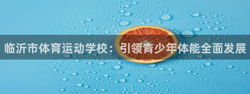 bbin视讯：临沂市体育运动学校：引领青少年体能全面发展