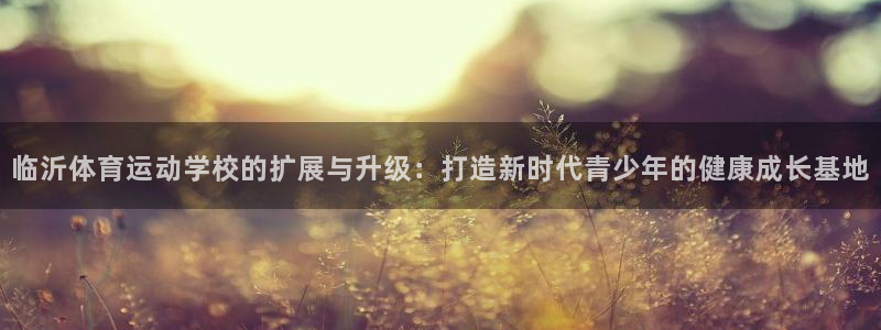 bbin视讯游戏官网：临沂体育运动学校的扩展与升级：打造新时代青少年的健康成长基地
