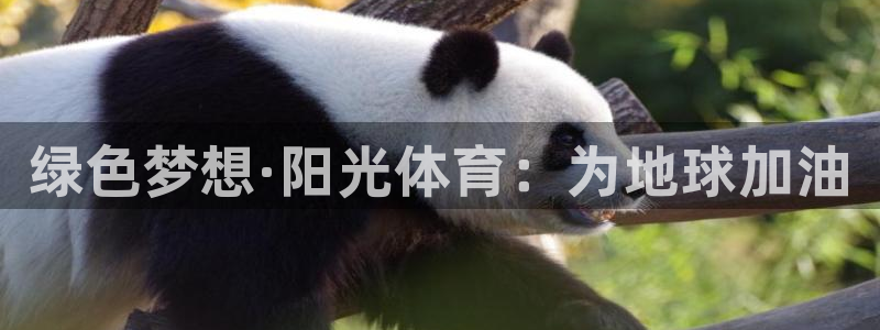 bbin视讯：绿色梦想·阳光体育：为地球加油