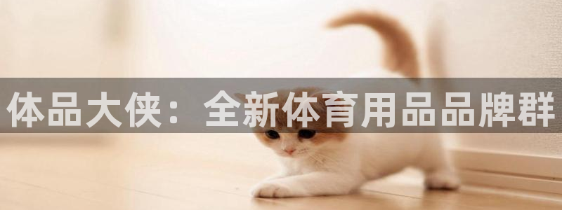 bbin视讯：体品大侠：全新体育用品品牌群