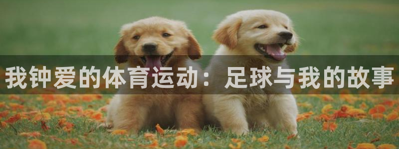 bbin视讯游戏官网：我钟爱的体育运动：足球与我的故事