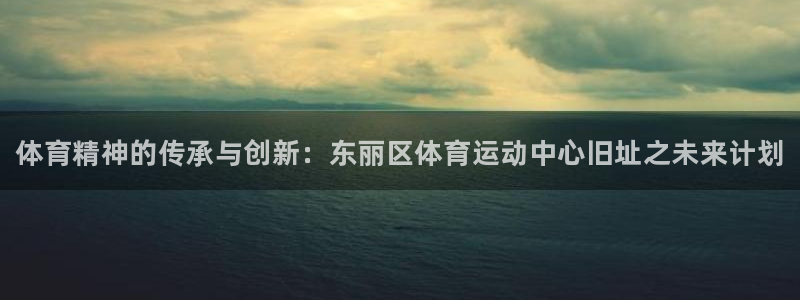 bbin视讯游戏平台：体育精神的传承与创新：东丽区体育运动中心旧址之未来计划