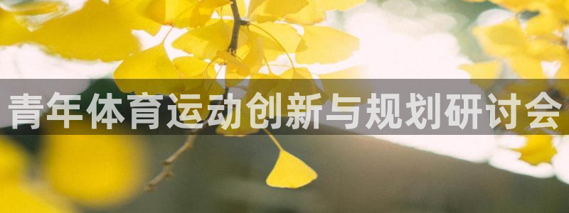 bbin视讯：青年体育运动创新与规划研讨会