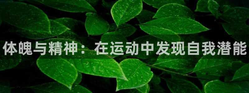 bbin视讯：体魄与精神：在运动中发现自我潜能