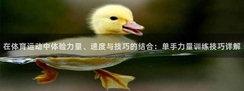 bbin视讯游戏官网：在体育运动中体验力量、速度与技巧的结合：单手力量训练技巧详解