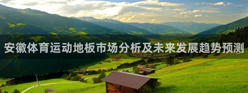 bbin视讯：安徽体育运动地板市场分析及未来发展趋势预测