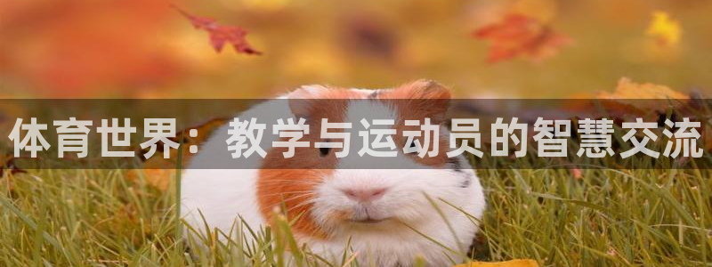 bbin视讯：体育世界：教学与运动员的智慧交流
