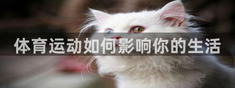 bbin视讯游戏平台：体育运动如何影响你的生活
