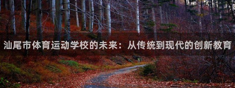 bbin视讯游戏平台：汕尾市体育运动学校的未来：从传统到现代的创新教育