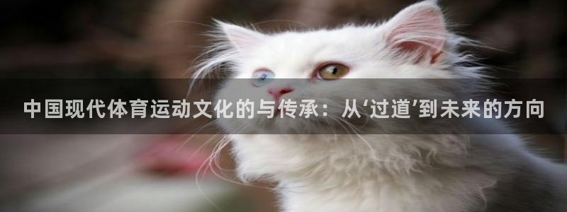 bbin视讯下：中国现代体育运动文化的与传承：从‘过道’到未来的方向