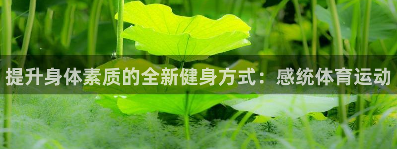 bbin视讯游戏平台：提升身体素质的全新健身方式：感统体育运动