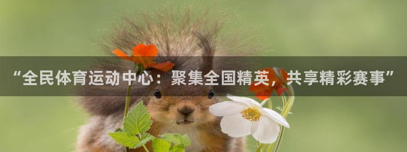 bbin视讯游戏平台：“全民体育运动中心：聚集全国精英，共享精彩赛事”