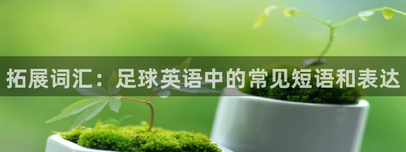 bbin视讯游戏官网：拓展词汇：足球英语中的常见短语和表达