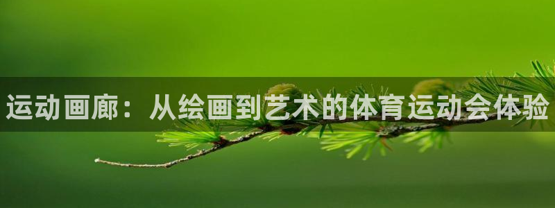 bbin视讯游戏官网：运动画廊：从绘画到艺术的体育运动会体验