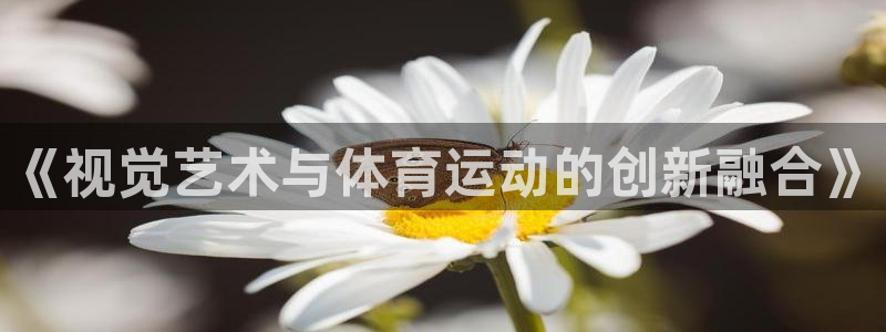 bbin视讯游戏平台：《视觉艺术与体育运动的创新融合》