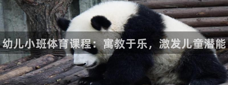 bbin视讯游戏官网：幼儿小班体育课程：寓教于乐，激发儿童潜能