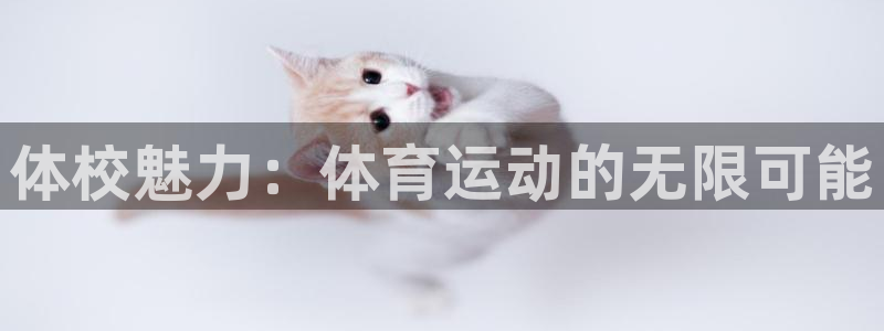 bbin视讯游戏平台：体校魅力：体育运动的无限可能
