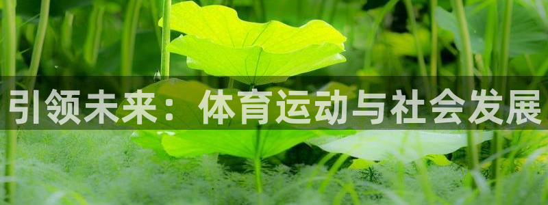 bbin视讯：引领未来：体育运动与社会发展