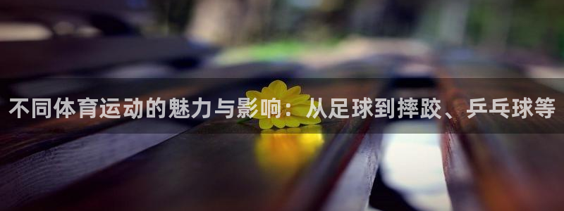 bbin视讯游戏平台：不同体育运动的魅力与影响：从足球到摔跤、乒乓球等