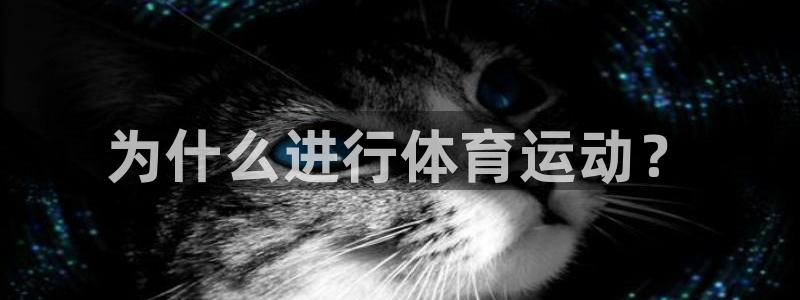 bbin视讯
