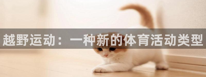 bbin视讯：越野运动：一种新的体育活动类型