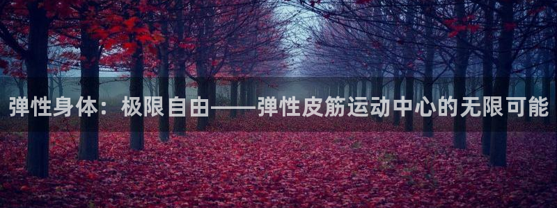 bbin视讯：弹性身体：极限自由——弹性皮筋运动中心的无限可能