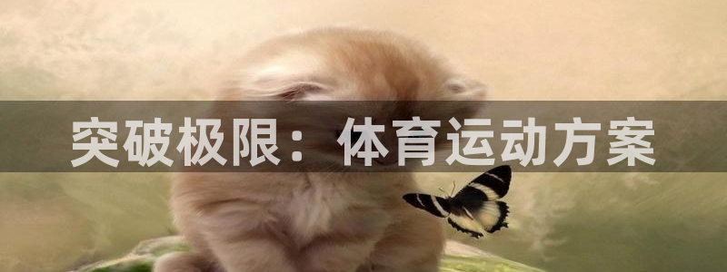 bbin视讯游戏官网：突破极限：体育运动方案
