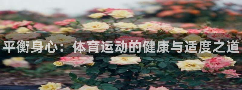 bbin视讯：平衡身心：体育运动的健康与适度之道