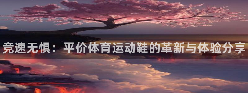 bbin视讯游戏平台：竞速无惧：平价体育运动鞋的革新与体验分享