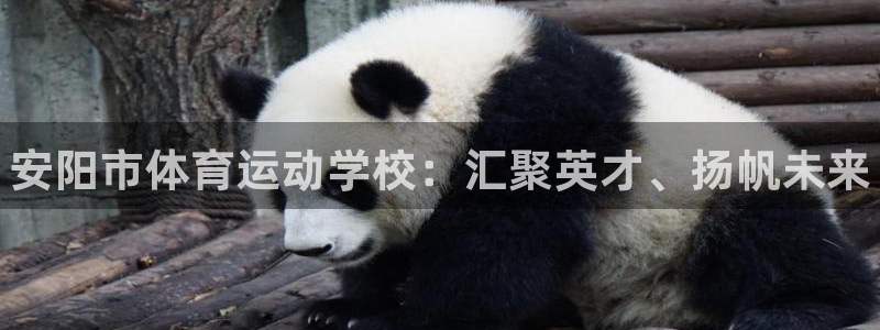 bbin视讯：安阳市体育运动学校：汇聚英才、扬帆未来
