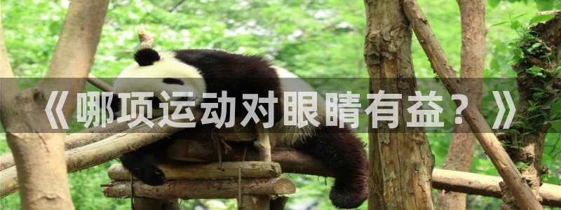 bbin视讯游戏平台：《哪项运动对眼睛有益？》