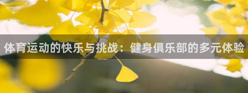 bbin视讯游戏平台