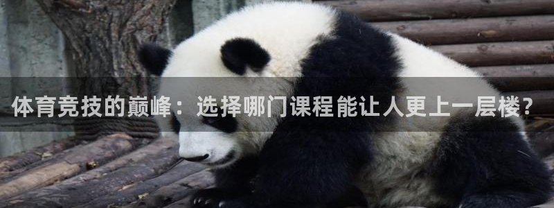 bbin视讯下：体育竞技的巅峰：选择哪门课程能让人更上一层楼？