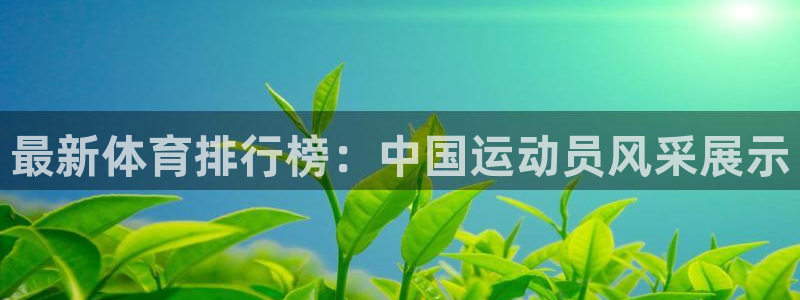 bbin视讯下