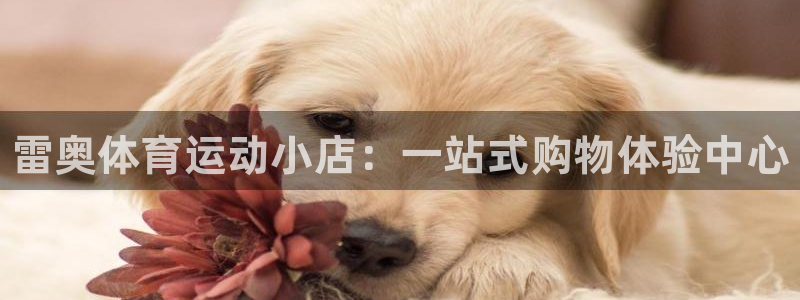 bbin视讯游戏官网：雷奥体育运动小店：一站式购物体验中心